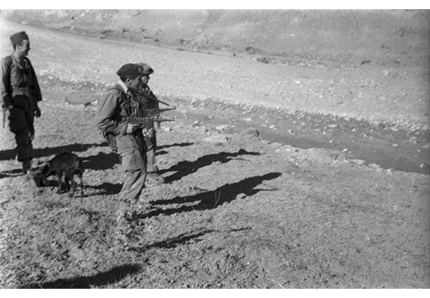 Microsoft Word - Luka Merlet .docx