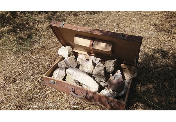 Microsoft Word - Roser Vallés.docx