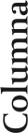 Columna