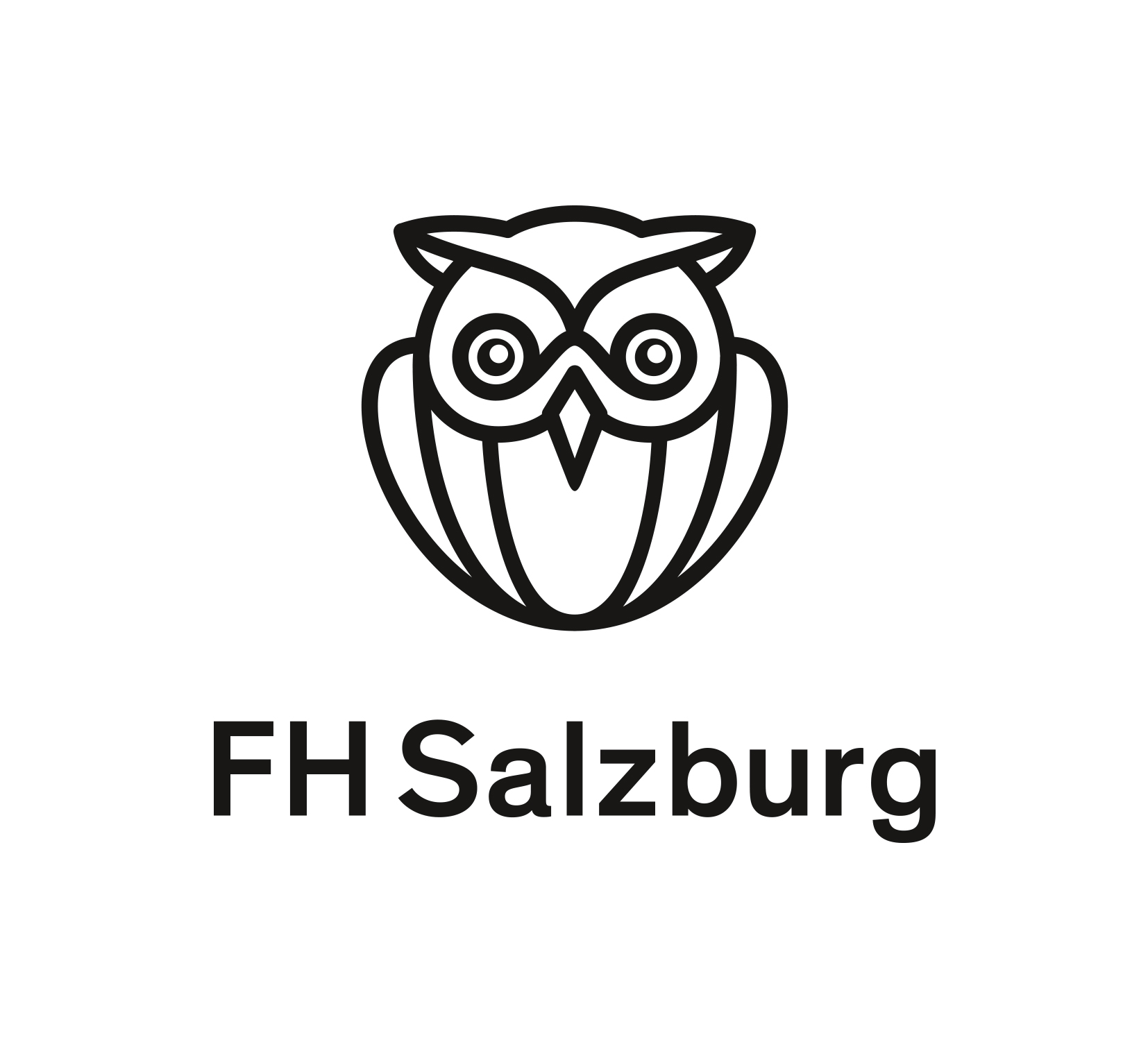 FH_Salzburg_Logo_DE gro ƒ