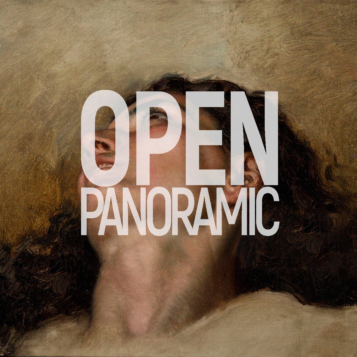 imatge_OPENPANORAMIC