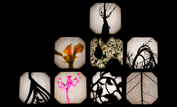 Besllum35-606x366 Besllum35-606x366