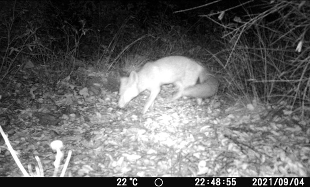 silenci_mons03-606x366 silenci_mons03-606x366