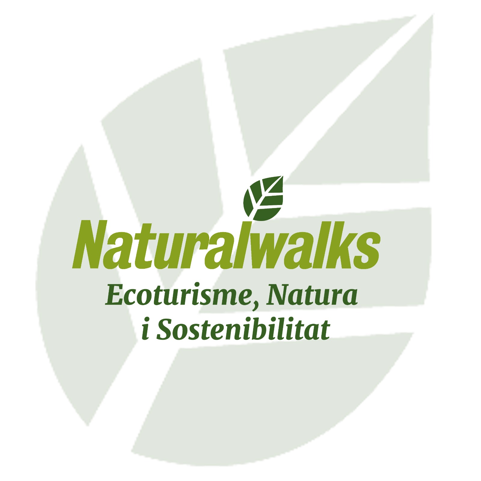 Logo facebook Natural Walks