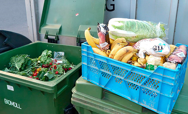 Restauració: una ruta de col·lecta d'aliments