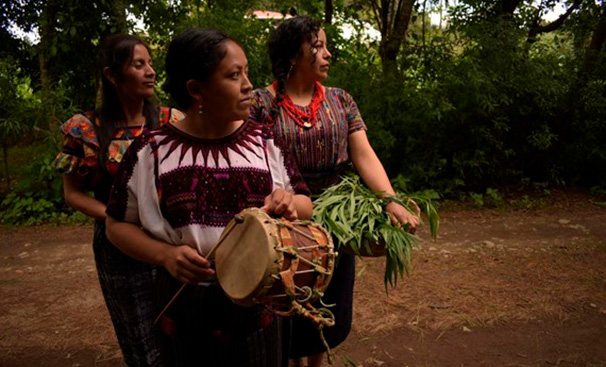 kotz´ijan / Florecer