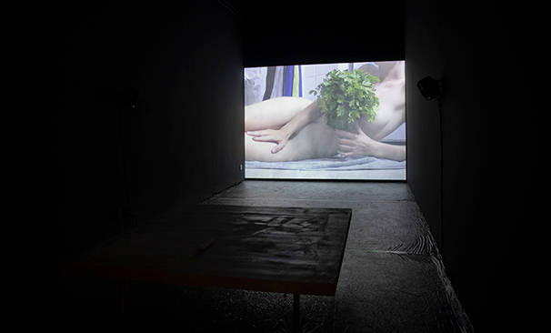 Exposició Ple de forats