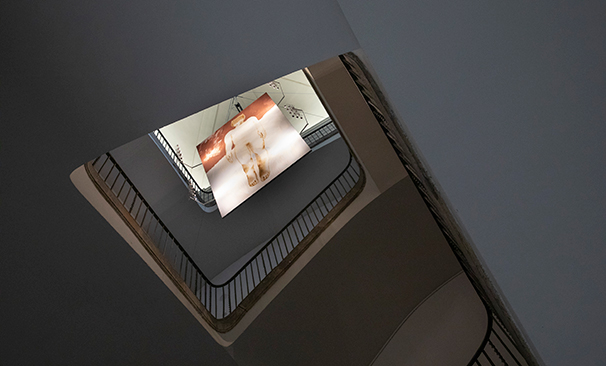 Exposició Ple de forats