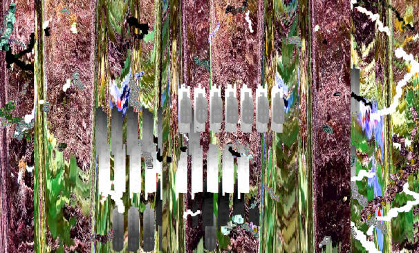 Tientos de multinaturalismo digital